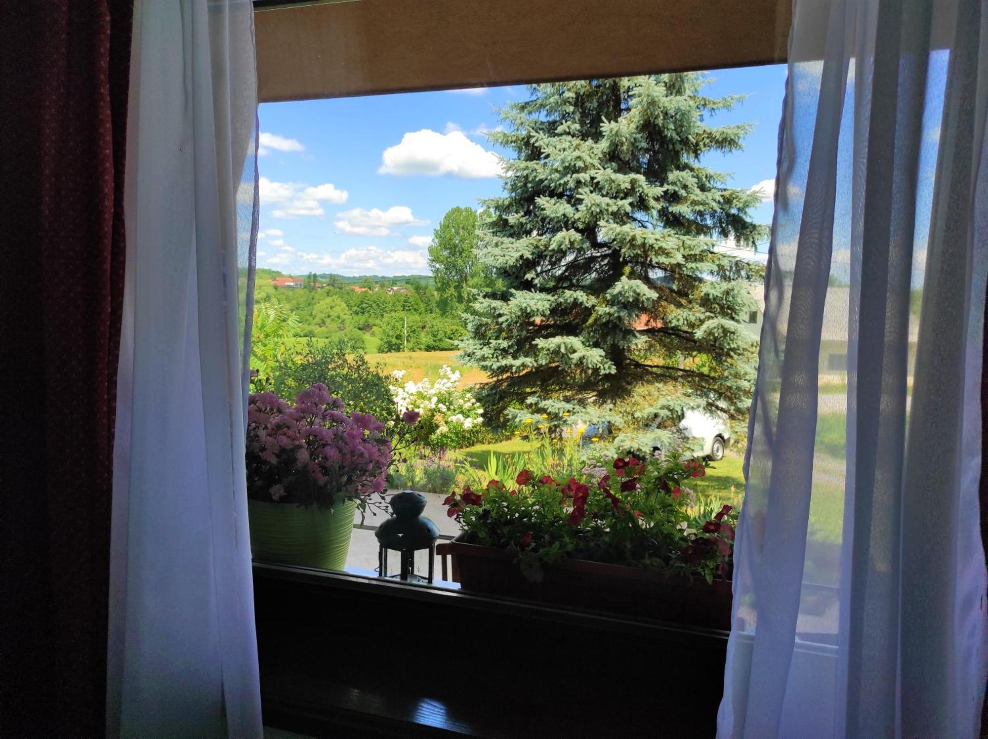 Apartment Stipcic-Mreznicki Brig Duga Resa Luaran gambar
